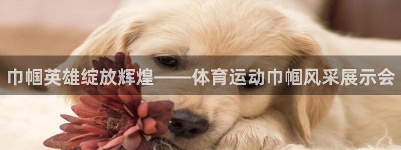 必一运动bsport体育