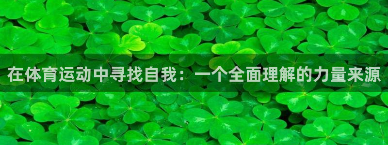 必一运动官网入口