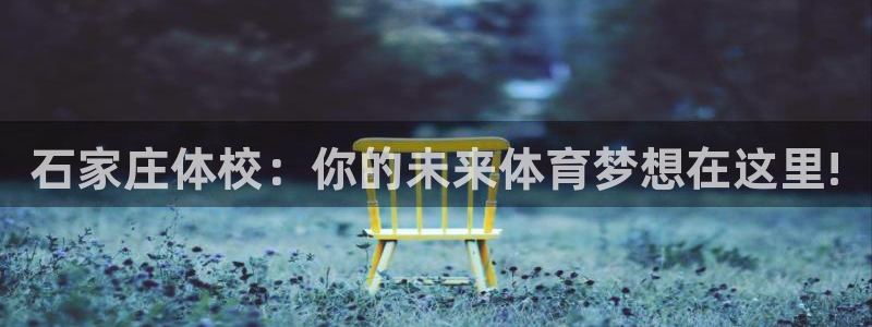 必一运动体育官网入口