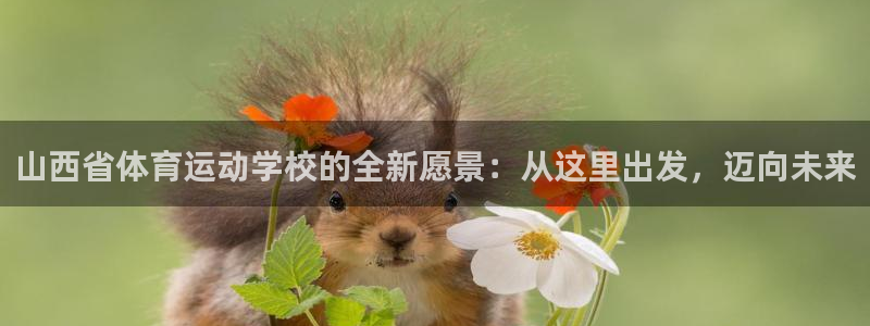 bsports官网 必一运动
