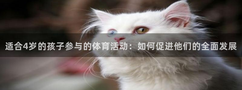 bsports必一运动
