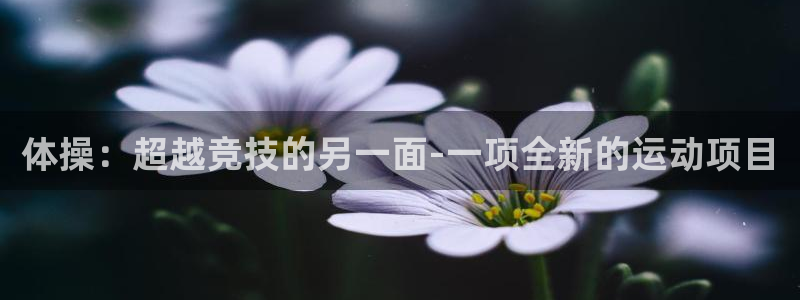 bsport必一运动