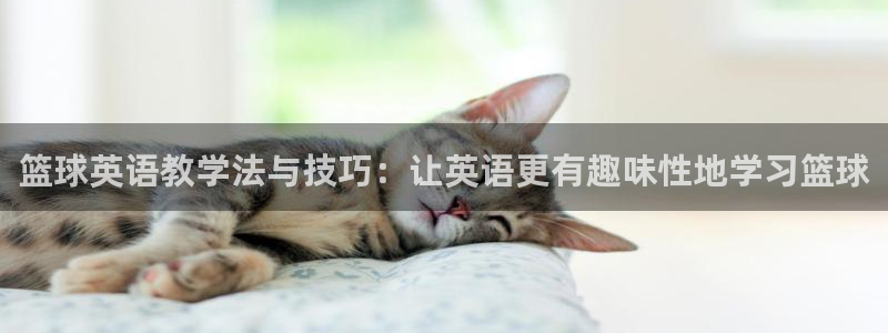 必一运动：篮球英语教学法与技巧：让英语更有趣味性地学习篮球