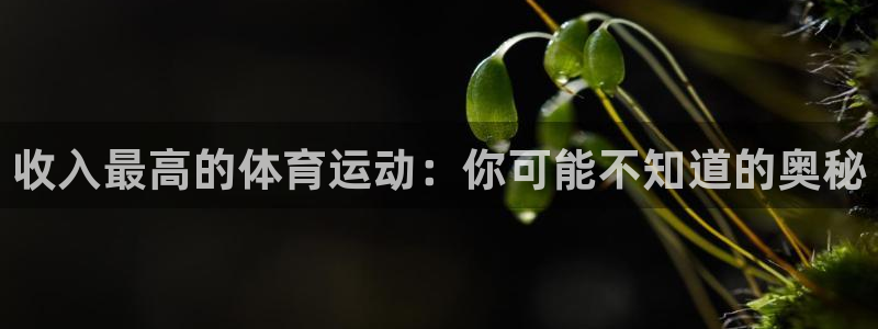 必一运动bsport体育：收入最高的体育运动：你可能不知道的奥秘