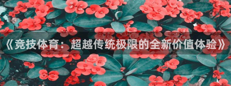 bsport必一运动：《竞技体育：超越传统极限的全新价值体验》